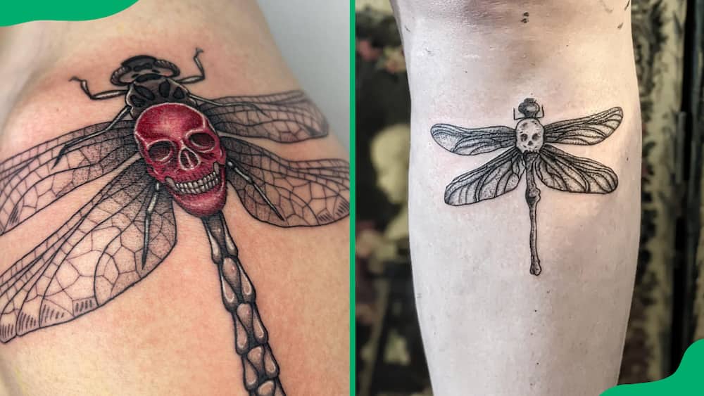 Skull dragonfly tattoo
