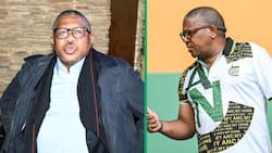 Fikile Mbalula claims Western Cape is ruled by witches, Mzansi in stitches