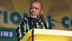 Gwede Mantashe plans to retire “gracefully” after current term as ANC national chairperson