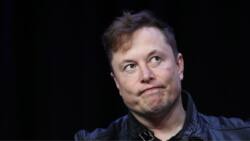 Elon Musk says mankind will end “with all of us in adult diapers” should global birthrates continue to decline