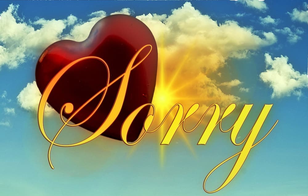 40 melting I am sorry quotes with images 2019 40 melting I am sorry quotes with images 2019
