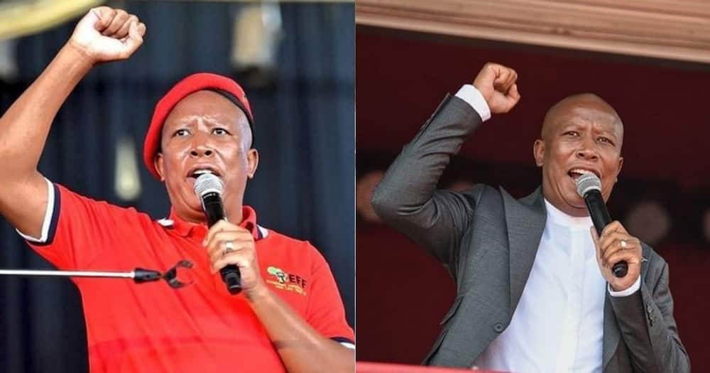 Casac: Julius Malema in Breach of Ethics Code, Should Be Removed as JSC Member