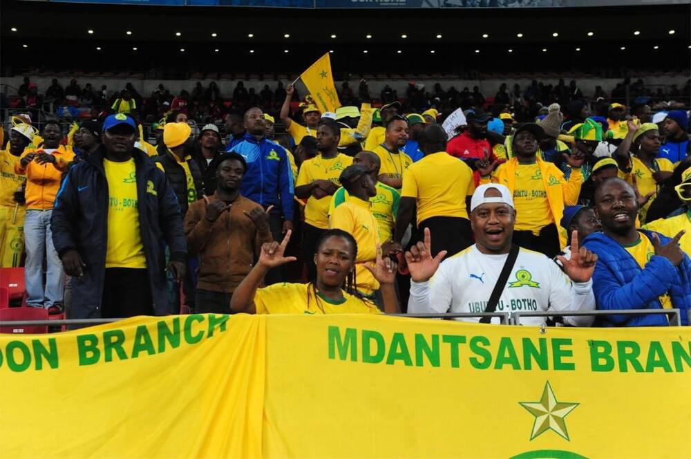 Mamelodi Sundowns logo, kits, players, coach, new signings ...