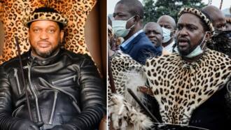AmaZulu royal family succession drama - will King Misuzulu lead the nation?