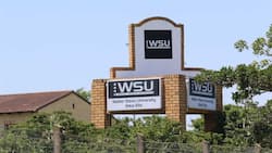 Walter Sisulu University courses in 2022: requirements, application