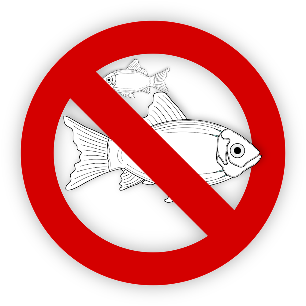 no fishing allowed