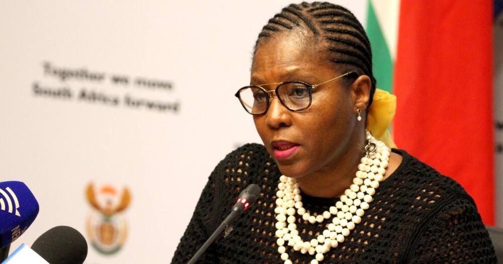 Government, won't investigate, how senior mangers were recruited, without qualifications, Ayanda Dlodlo, Minister Public Service and Administration