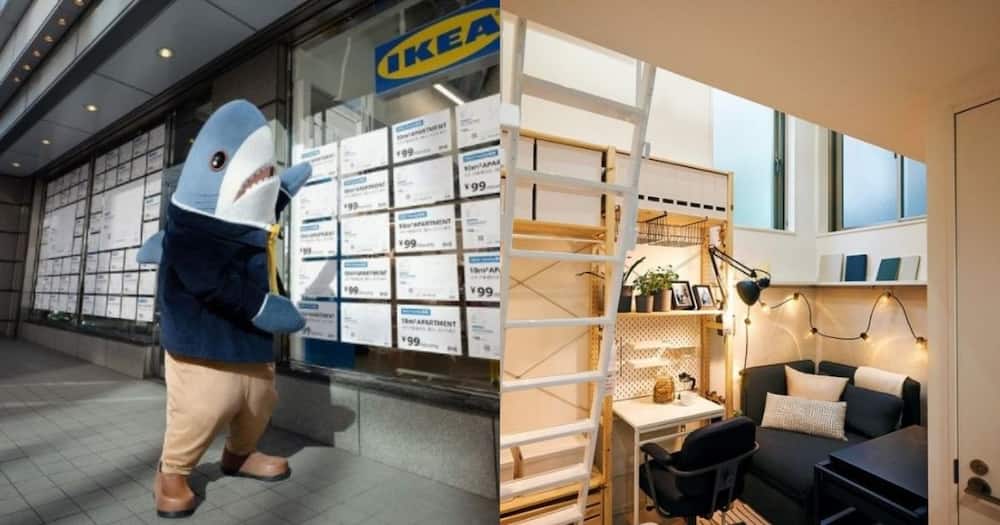 Ikea Japan, tiny homes, cost-effective, R13.62, rent, lease