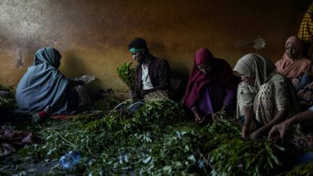 A gloomy season for Ethiopia's 'green gold' at the khat market