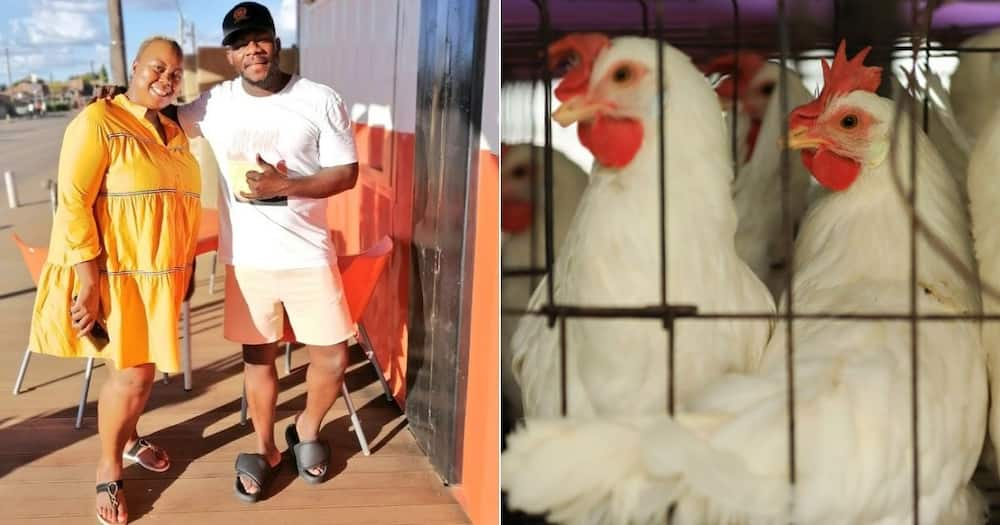 Female Poultry Farmer, Chickens, Moja Chicken, South Africa