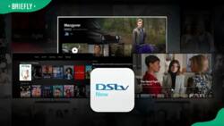 Download DStv Now for PC, smart TV, tablet, smartphone, and standard TV