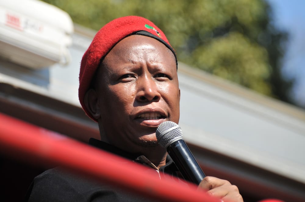 Supreme Court of Appeal, Julius Malema, defamation, lawsuit