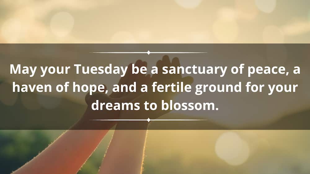 Tuesday blessing quotes