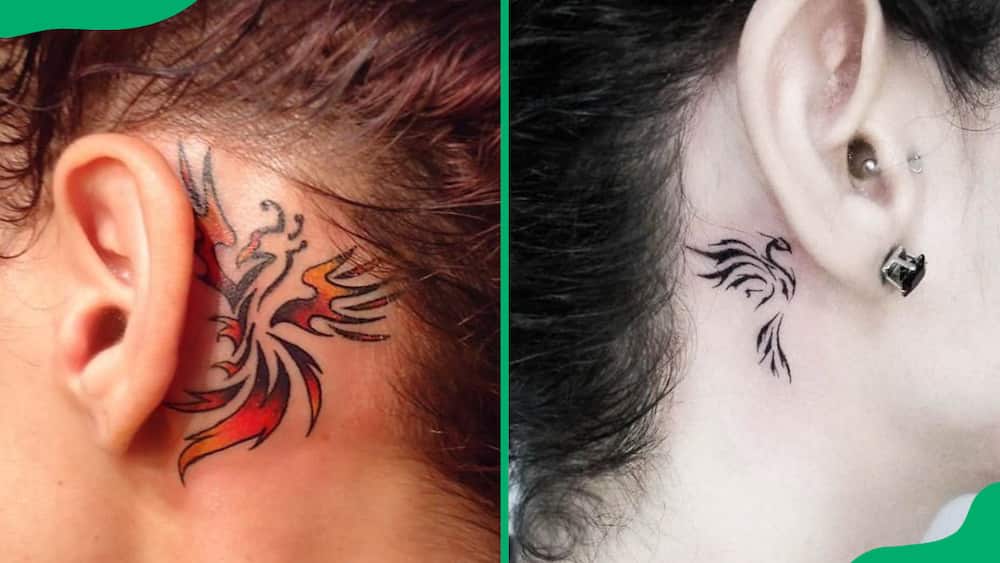 Small phoenix behind the ear tattoo