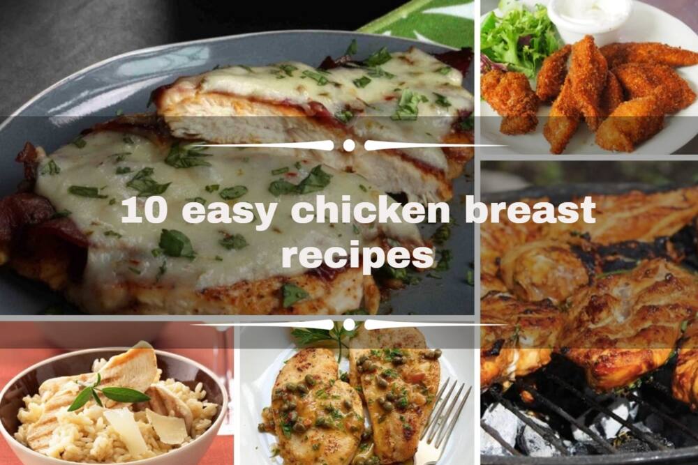 Chicken breast recipes
Chicken fillet recipes
Chicken breast recipes
Chicken breast dishes
Recipe for chicken fillets