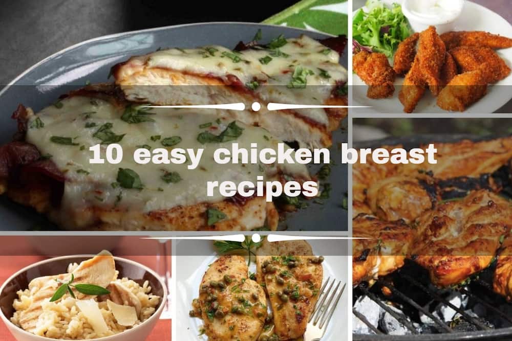 Chicken breast recipes
Chicken fillet recipes
Chicken breast recipes
Chicken breast dishes
Recipe for chicken fillets Chicken breast recipes
Chicken fillet recipes
Chicken breast recipes
Chicken breast dishes
Recipe for chicken fillets