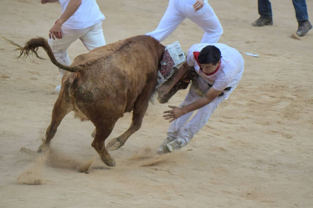 Spain's San Fermin fiesta dates back to medieval times