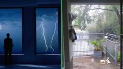 Rustenburg man films lightning strike in TikTok video, tree next to his house catches fire