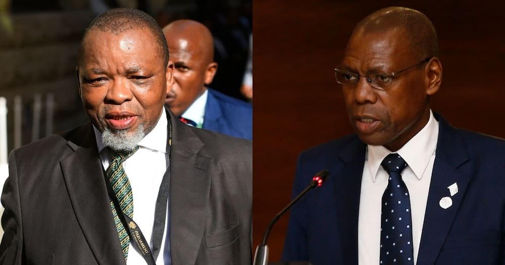 Gwede Mantashe, Mkhize, calls to resign, occupational hazard