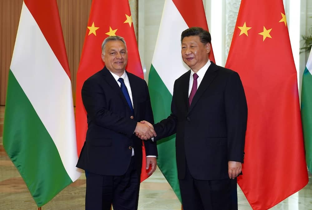 Hungarian Prime Minister Viktor Orban (L) and  Chinese President Xi Jinping, seen during a meeting in 2019 in Beijing
