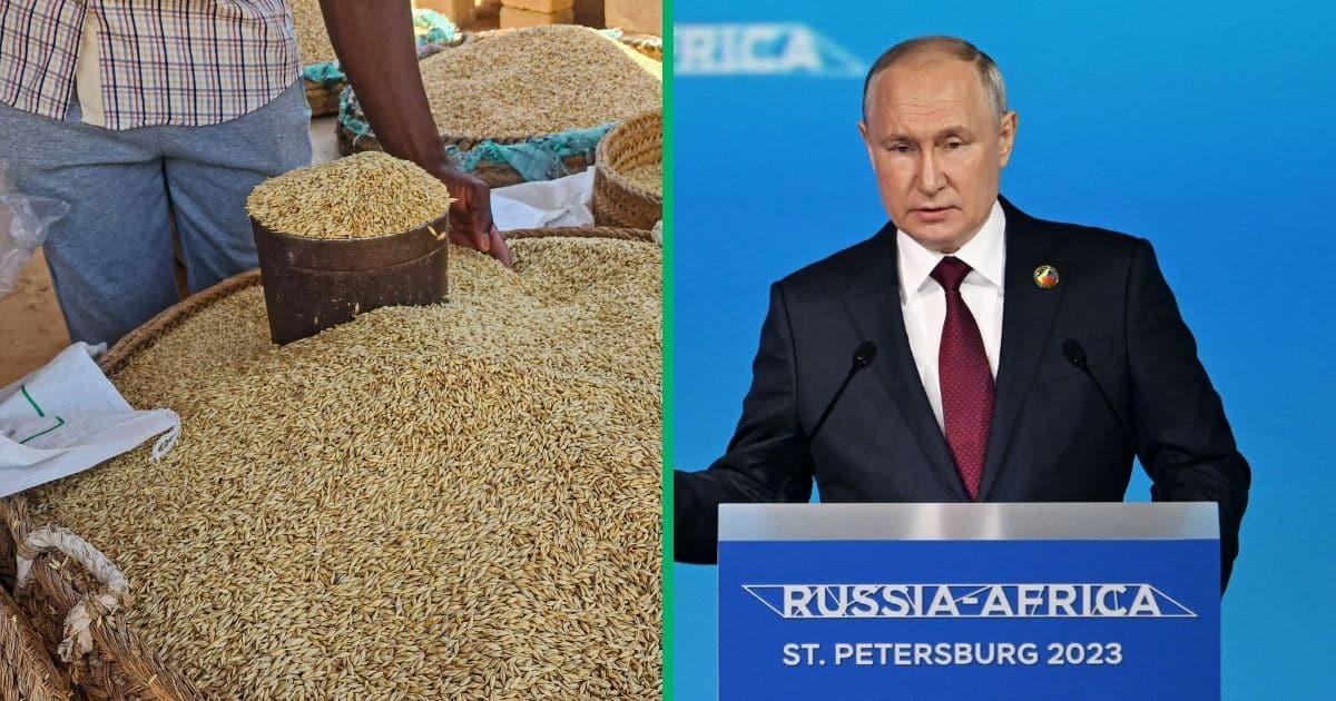 Russia-Africa Summit: Putin Pledges Free Grain To 6 African Countries ...