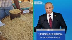 Russia-Africa summit: Putin pledges free grain to 6 African countries after quitting from Ukraine grain deal