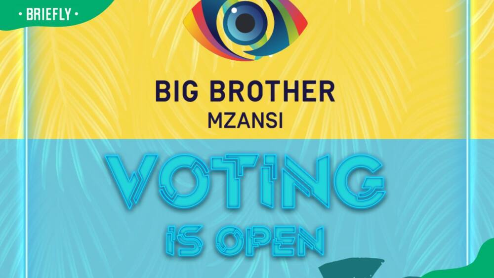 Big Brother Mzansi castings in South Africa