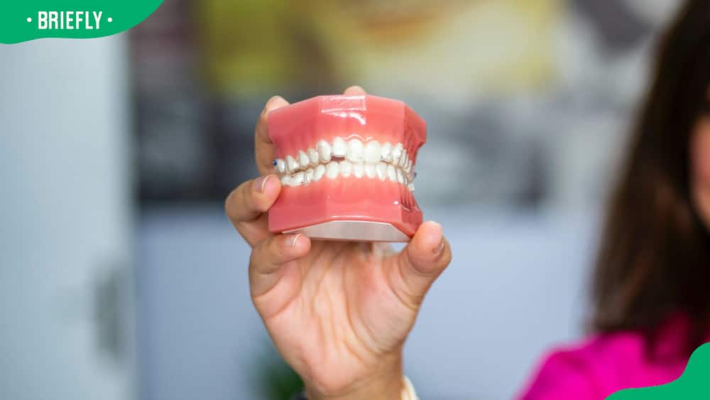 How much do dentures cost in South Africa