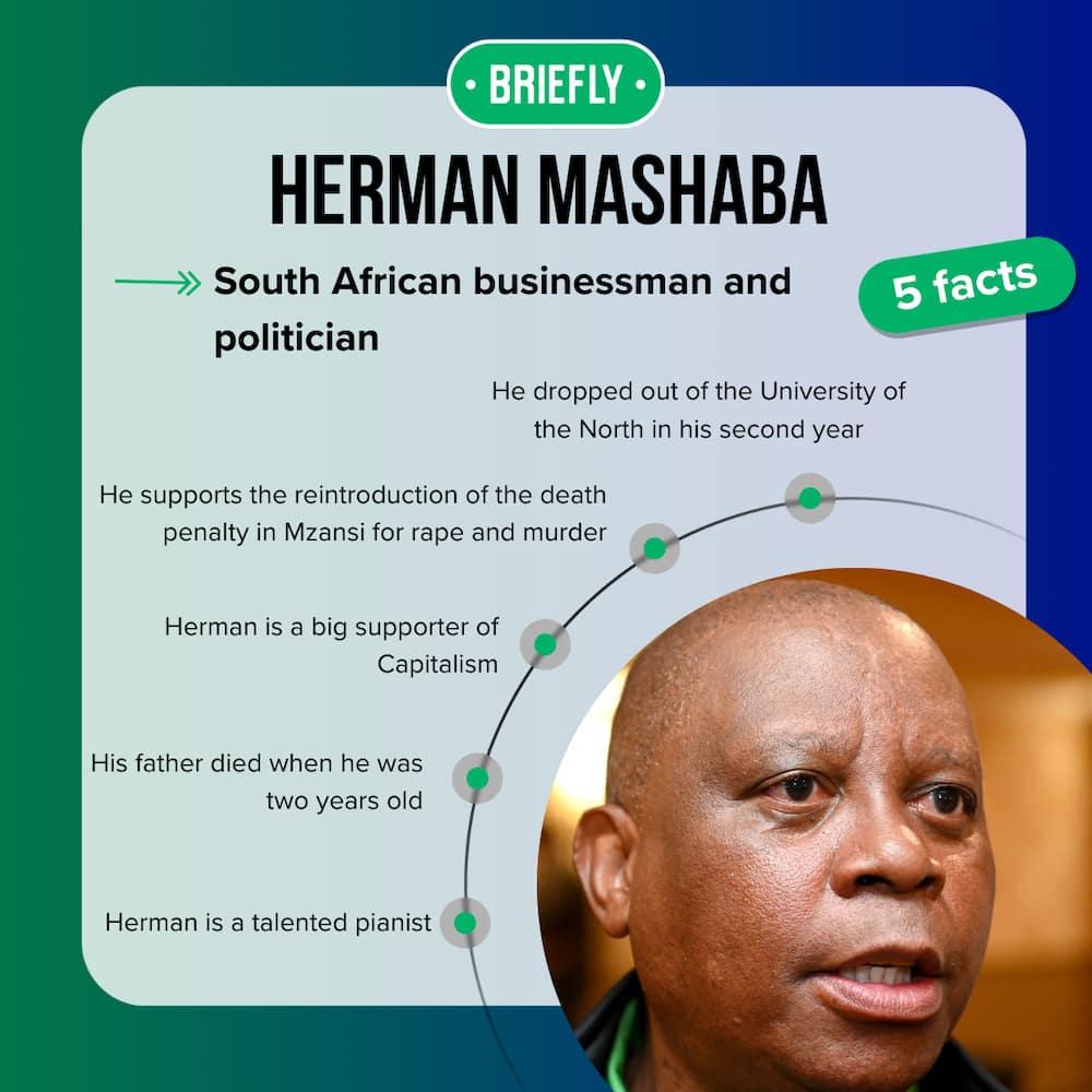 Herman Mashaba's facts