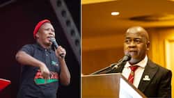 Julius Malema explains why he didn't vote for Mzwandile Masina as Ekurhuleni Mayor