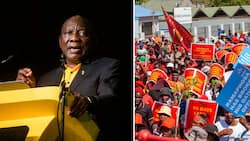 EFF wants ConCourt to throw out President Cyril Ramaphosa's bid to review Phala Phala report