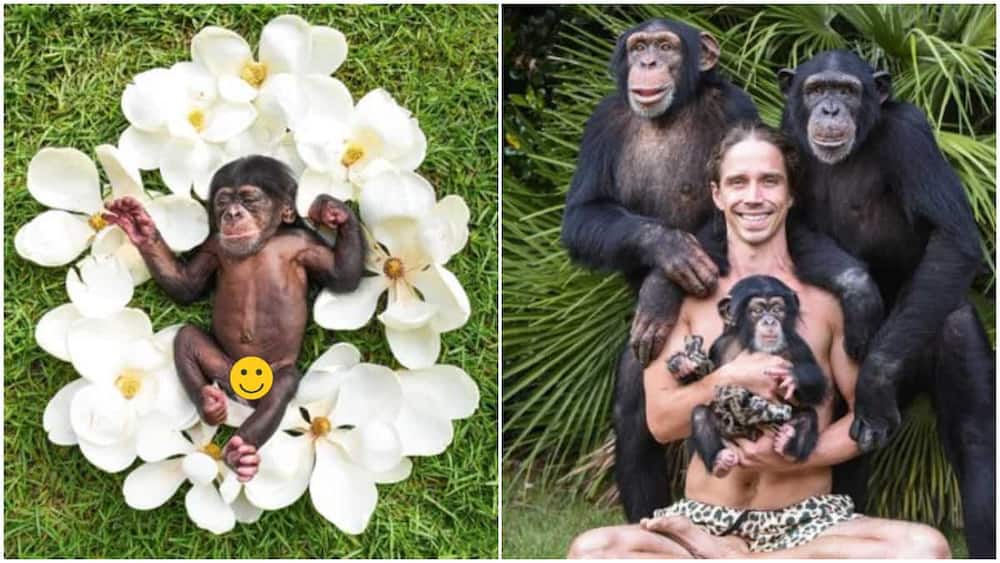 Man gives newborn monkey photo shoot as if it's human baby, photos cause frenzy online. Image: @kody_antle/Twitter