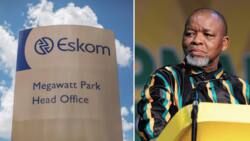 Energy Minister Gwede Mantashe says Eskom can be fixed in 6 to 12 months, Mzansi annoyed