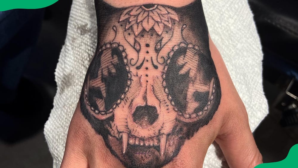 Cat skull tattoo