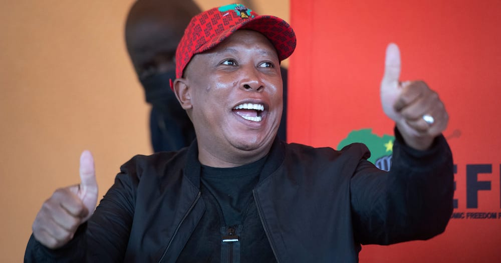 Julius Malema, flushing toilets, Durban, Local government elections