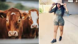 Female farmer sets timelines on fire with photos of herself in work uniform vs casual wear: “God's creation”