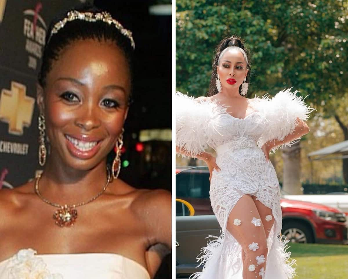 Sa Celebrities Before And After Plastic Surgery Photos