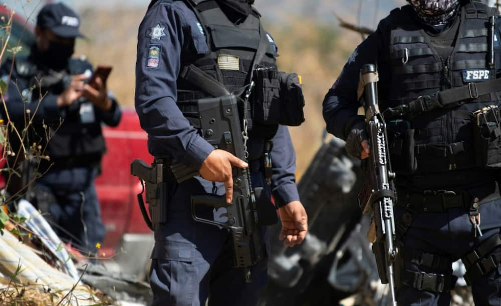 Bloodshed, prosperity meet in Mexico's most violent state - Briefly.co.za