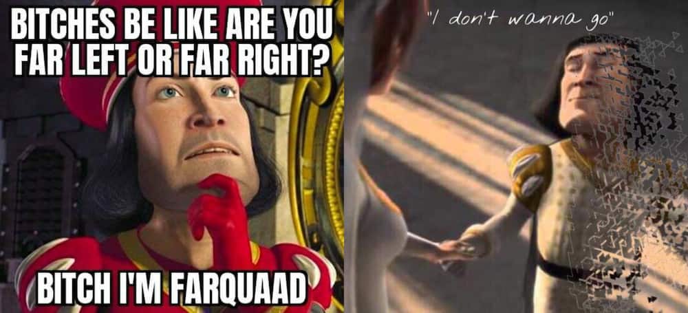 Lord Farquaad's meme