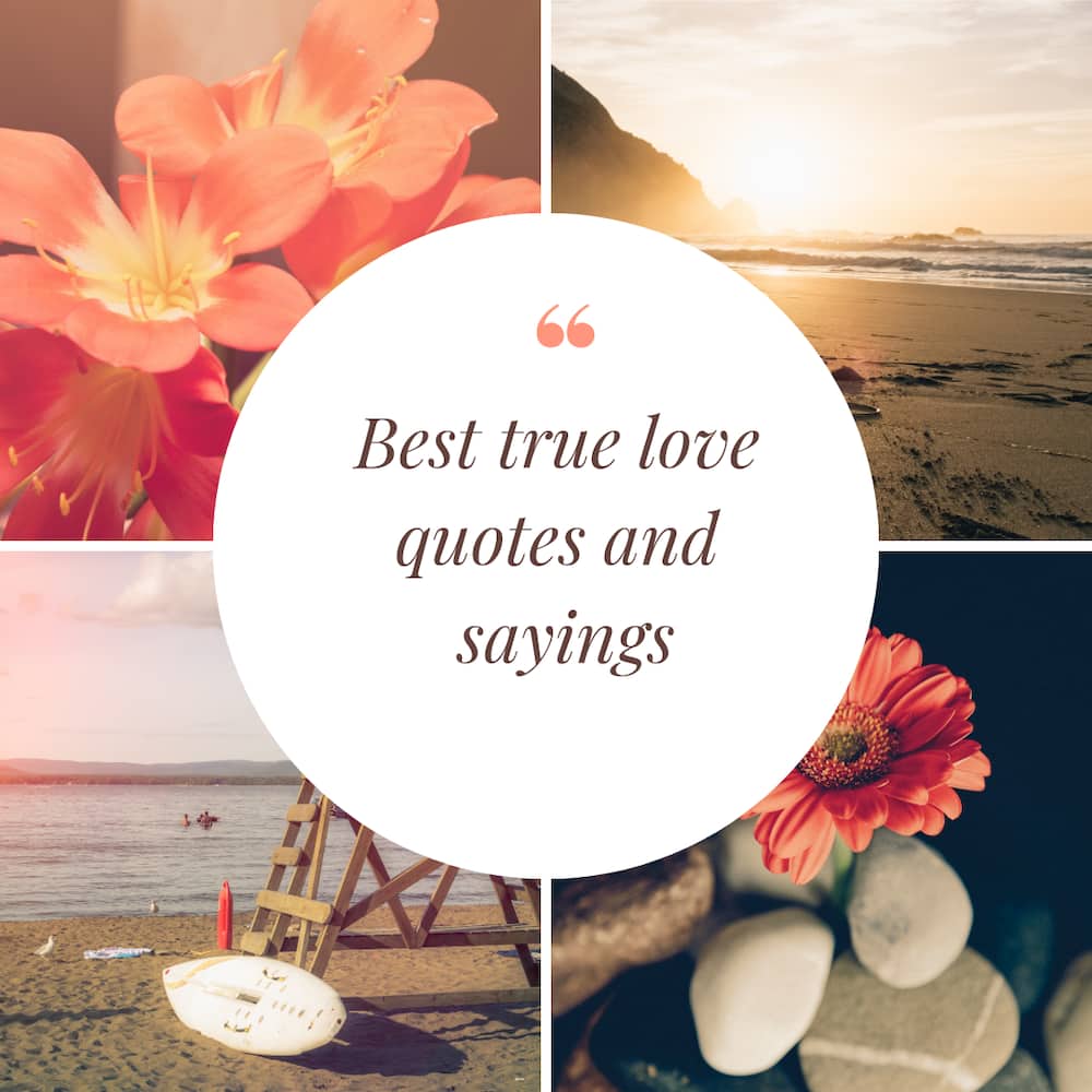 best true love quotes