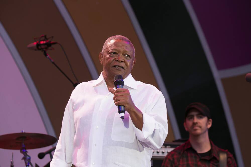 Hugh Masekela - stimela