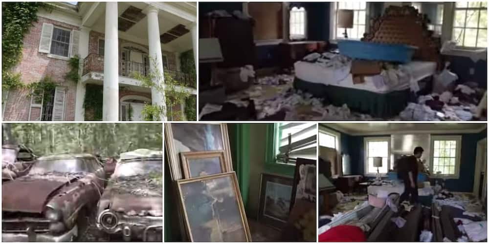 Reactions as man shares video of an old abandoned mansion he found somewhere that has 100s of cars and fine paintings in it