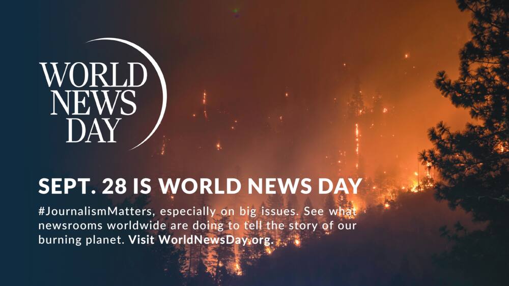 World News Day, Briefly News