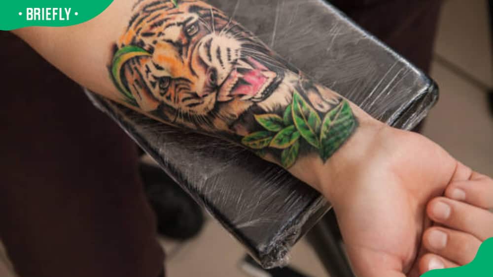 tiger roaring tattoo