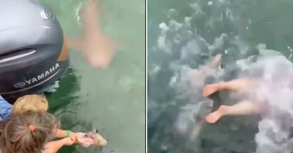 Video of Mother and child fall into shark infested water goes viral on Twitter