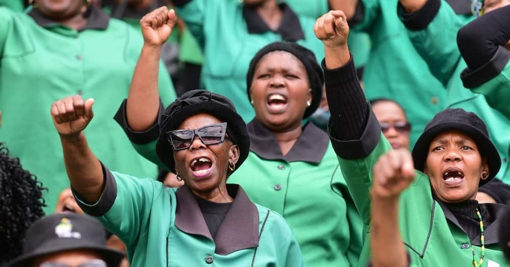 ANC Nec, disbands, Women's league executive, Bathabile Dlamini, perjury, conviction