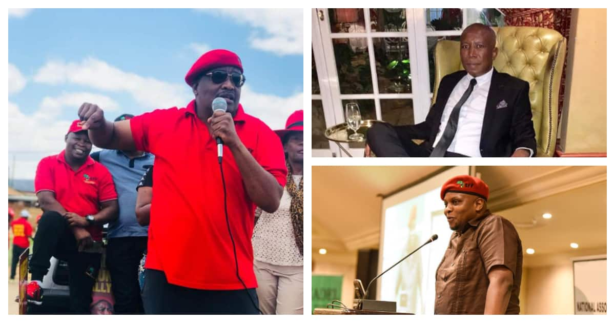 Julius Malema and Shivambu are 'bloody crooks' - EFF MP ...