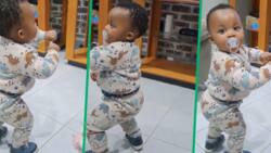Pretoria toddler's heartwarming 'Umkhokha: The Curse' dance goes viral on TikTok: "He deserves a lead role"