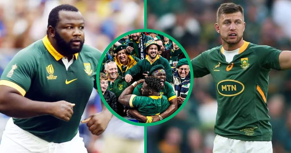 RWC: Springboks Win Against England in Rugby World Cup Thriller, Nché ...