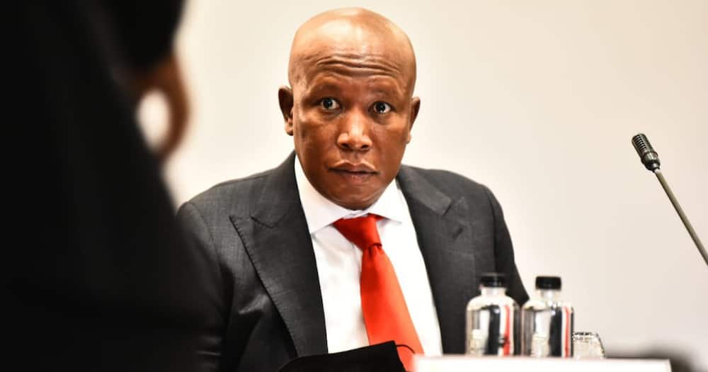 Malema Attacks Journalist During Chief Justice Interviews: 'I'm Not Talking to You'